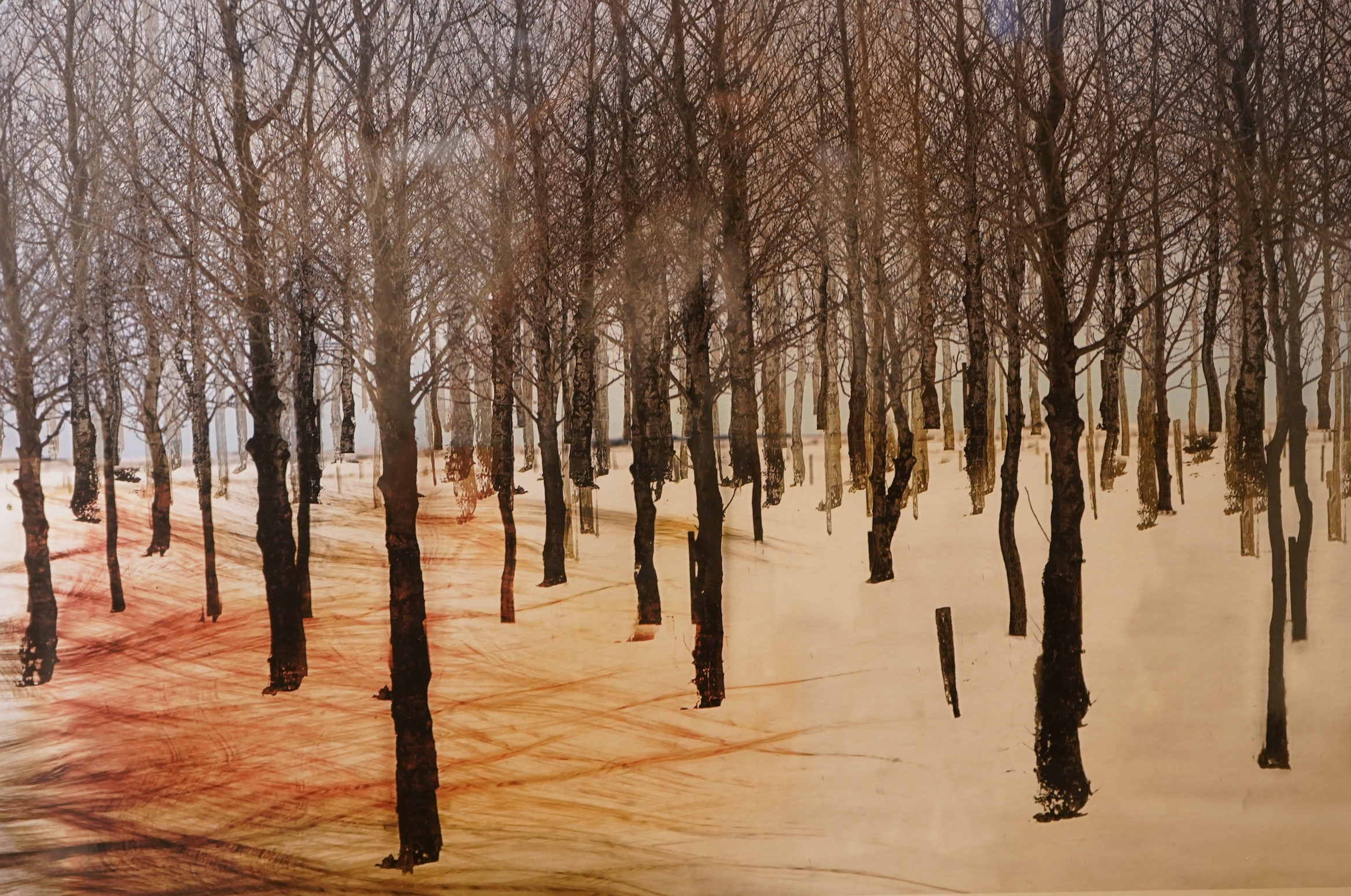 Four photographic prints to include mountainous riverscape, monogrammed DB and a woodland scene, largest 28 x 37cm, Provenance: The Tanyards Collection, East Sussex